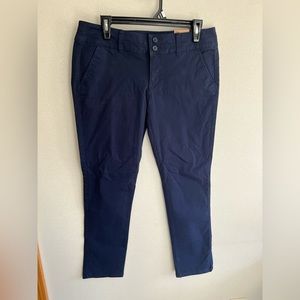 Navy AE dress pant